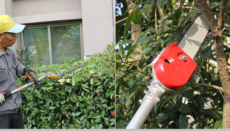 ما هي مهارات قطع الأدوات في صيانة الحدائق؟