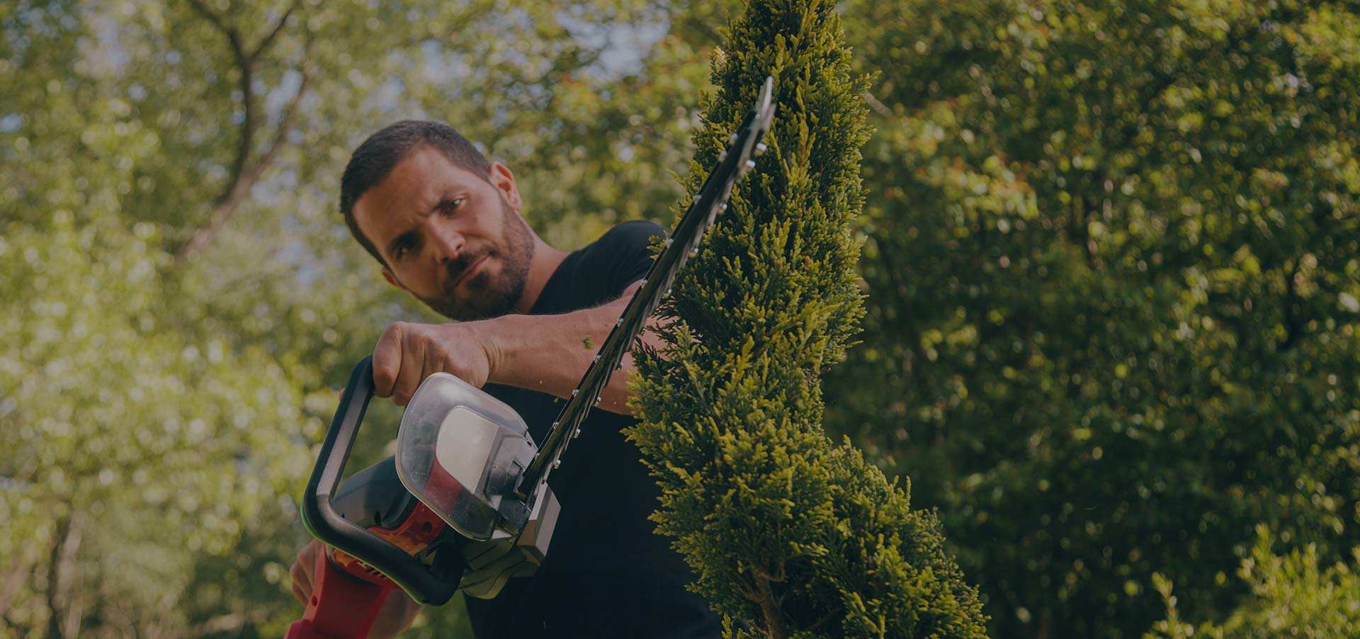 نينغبو أوشينغ ماشين كو.، لت.